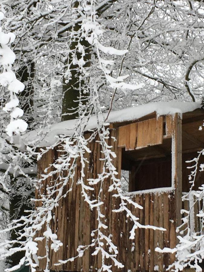Mone Ferienhaus